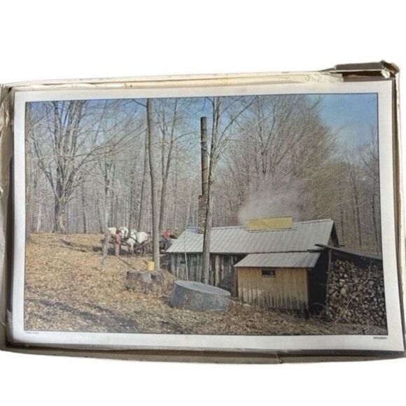 4-H Kinzua Country Placemats Kinzua State Park Pennsylvania Set Of 6 - Picture 5 of 9